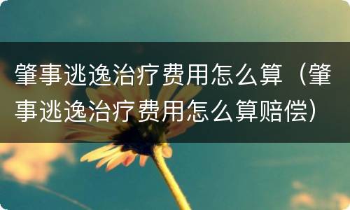 肇事逃逸治疗费用怎么算（肇事逃逸治疗费用怎么算赔偿）