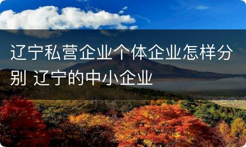 辽宁私营企业个体企业怎样分别 辽宁的中小企业