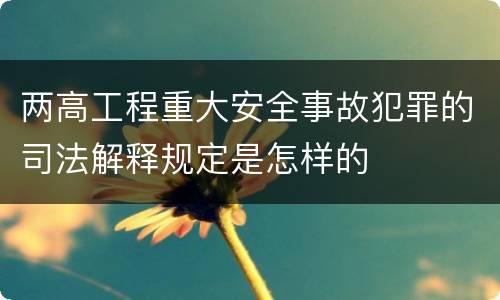 两高工程重大安全事故犯罪的司法解释规定是怎样的