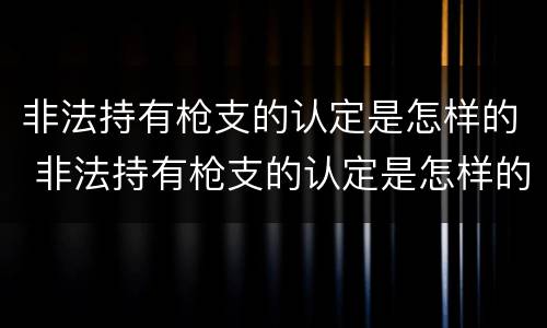 非法持有枪支的认定是怎样的 非法持有枪支的认定是怎样的标准