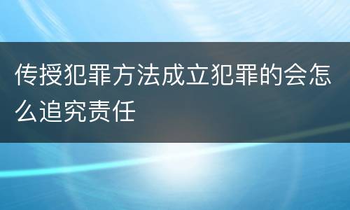 传授犯罪方法成立犯罪的会怎么追究责任