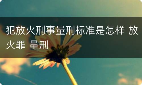 犯放火刑事量刑标准是怎样 放火罪 量刑
