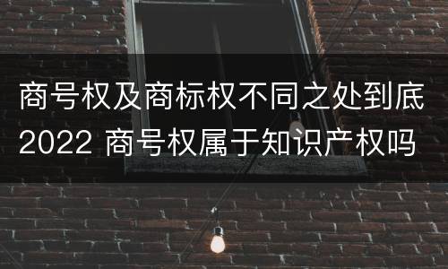 商号权及商标权不同之处到底2022 商号权属于知识产权吗
