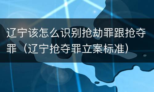 辽宁该怎么识别抢劫罪跟抢夺罪（辽宁抢夺罪立案标准）