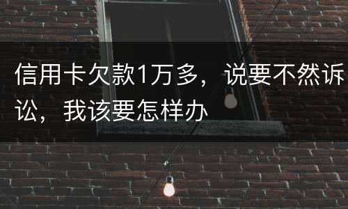 信用卡欠款1万多，说要不然诉讼，我该要怎样办