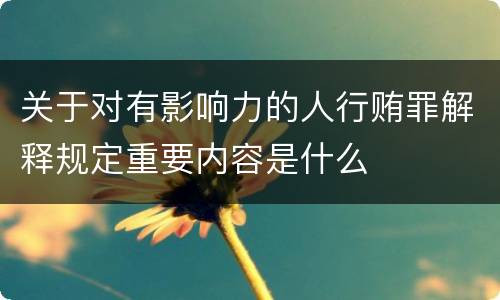关于对有影响力的人行贿罪解释规定重要内容是什么