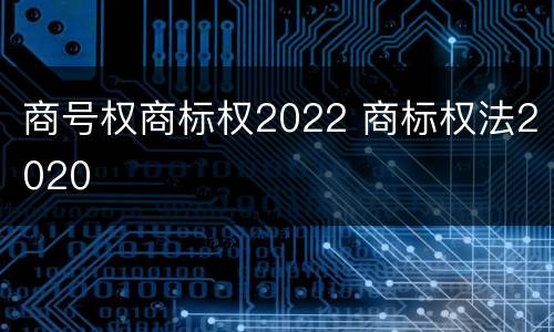 商号权商标权2022 商标权法2020