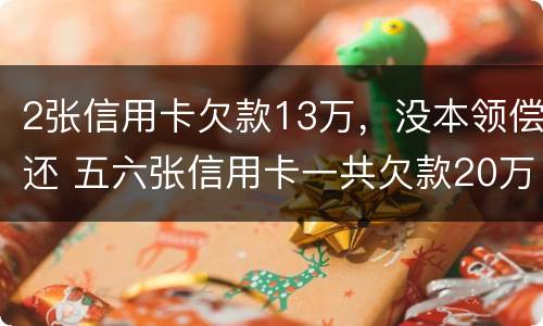2张信用卡欠款13万，没本领偿还 五六张信用卡一共欠款20万