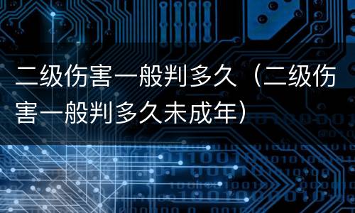 二级伤害一般判多久（二级伤害一般判多久未成年）