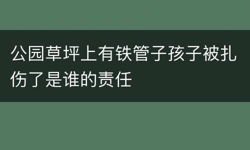 公园草坪上有铁管子孩子被扎伤了是谁的责任