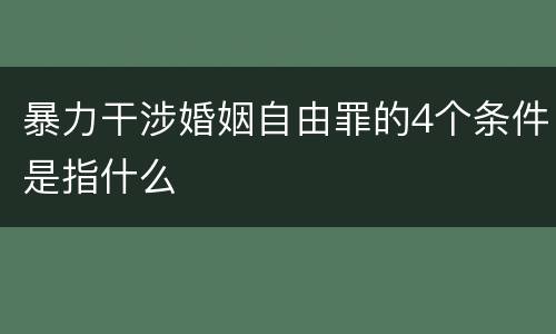 暴力干涉婚姻自由罪的4个条件是指什么