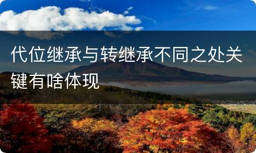 代位继承与转继承不同之处关键有啥体现