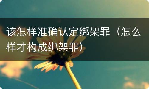 该怎样准确认定绑架罪（怎么样才构成绑架罪）