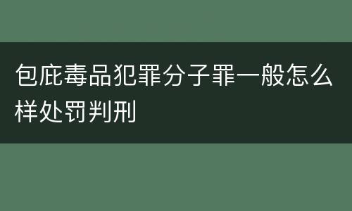 包庇毒品犯罪分子罪一般怎么样处罚判刑