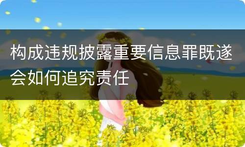 构成违规披露重要信息罪既遂会如何追究责任