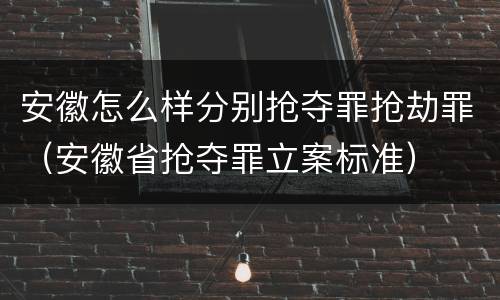安徽怎么样分别抢夺罪抢劫罪（安徽省抢夺罪立案标准）