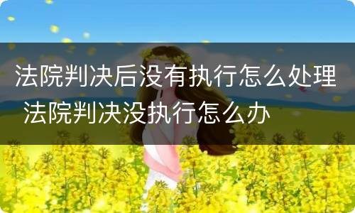 法院判决后没有执行怎么处理 法院判决没执行怎么办