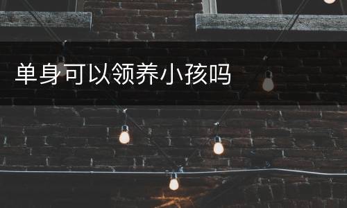 单身可以领养小孩吗