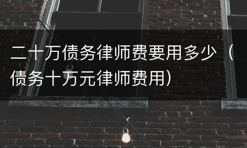 二十万债务律师费要用多少（债务十万元律师费用）