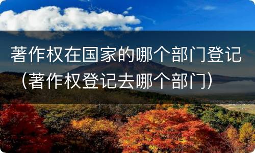 著作权在国家的哪个部门登记（著作权登记去哪个部门）