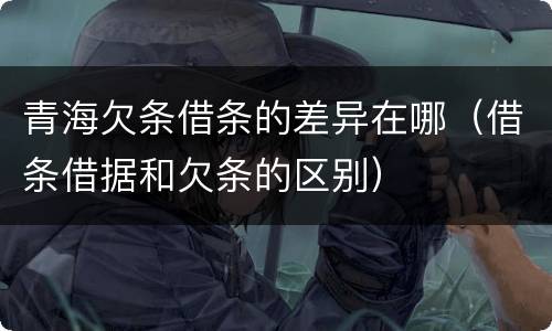 青海欠条借条的差异在哪（借条借据和欠条的区别）