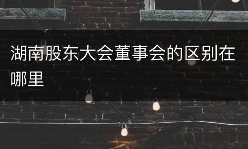 湖南股东大会董事会的区别在哪里