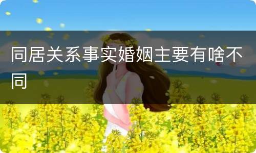 同居关系事实婚姻主要有啥不同