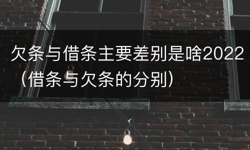 欠条与借条主要差别是啥2022（借条与欠条的分别）