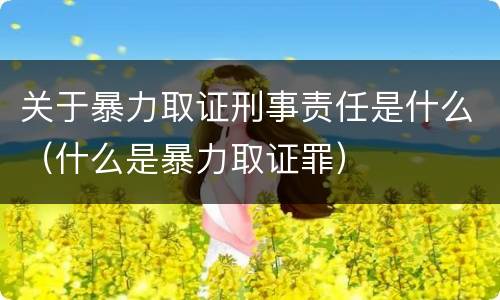 关于暴力取证刑事责任是什么（什么是暴力取证罪）