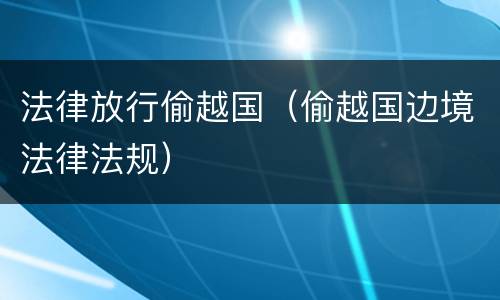 法律放行偷越国（偷越国边境法律法规）