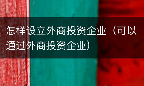 怎样设立外商投资企业（可以通过外商投资企业）