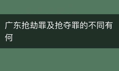 广东抢劫罪及抢夺罪的不同有何
