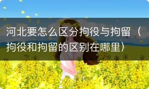 河北要怎么区分拘役与拘留（拘役和拘留的区别在哪里）