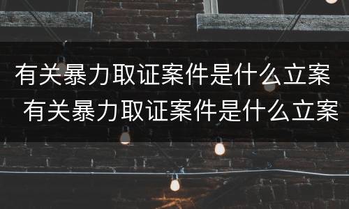 有关暴力取证案件是什么立案 有关暴力取证案件是什么立案的