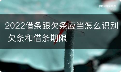 2022借条跟欠条应当怎么识别 欠条和借条期限