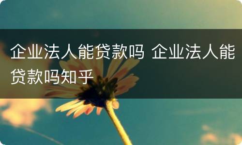 企业法人能贷款吗 企业法人能贷款吗知乎