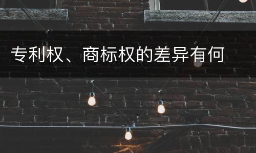 专利权、商标权的差异有何