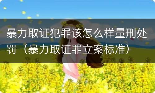 暴力取证犯罪该怎么样量刑处罚（暴力取证罪立案标准）