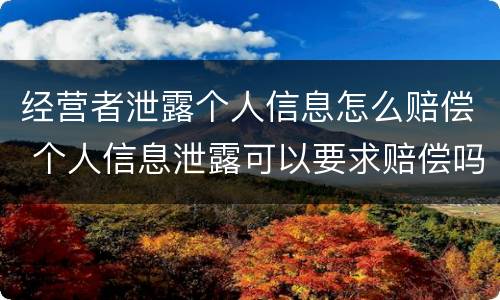 经营者泄露个人信息怎么赔偿 个人信息泄露可以要求赔偿吗