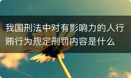 我国刑法中对有影响力的人行贿行为规定刑罚内容是什么