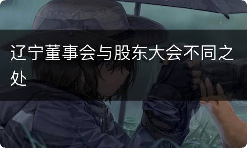 辽宁董事会与股东大会不同之处