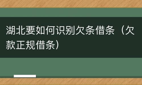 湖北要如何识别欠条借条（欠款正规借条）