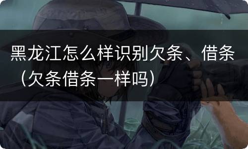 黑龙江怎么样识别欠条、借条（欠条借条一样吗）