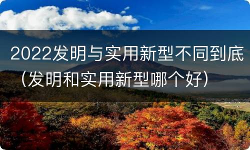 2022发明与实用新型不同到底（发明和实用新型哪个好）