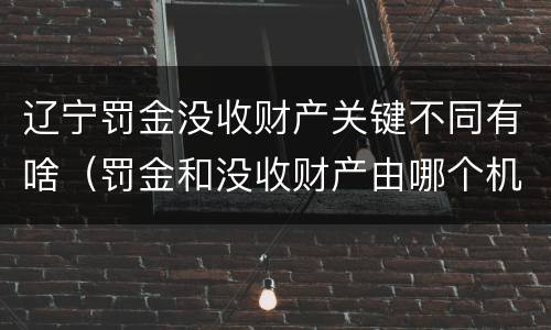 辽宁罚金没收财产关键不同有啥（罚金和没收财产由哪个机关执行）