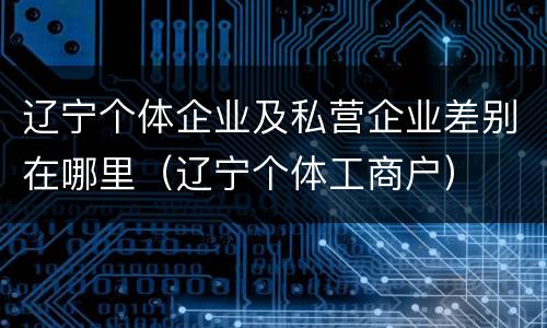 辽宁个体企业及私营企业差别在哪里（辽宁个体工商户）