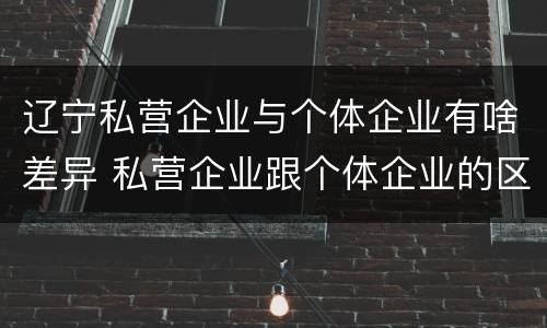 辽宁私营企业与个体企业有啥差异 私营企业跟个体企业的区别
