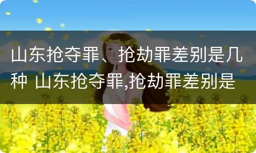 山东抢夺罪、抢劫罪差别是几种 山东抢夺罪,抢劫罪差别是几种犯罪