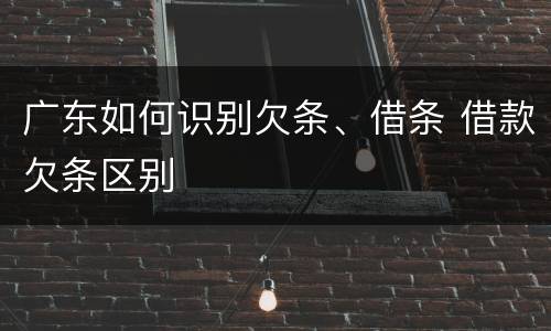 广东如何识别欠条、借条 借款欠条区别