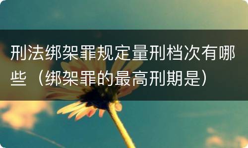 刑法绑架罪规定量刑档次有哪些（绑架罪的最高刑期是）